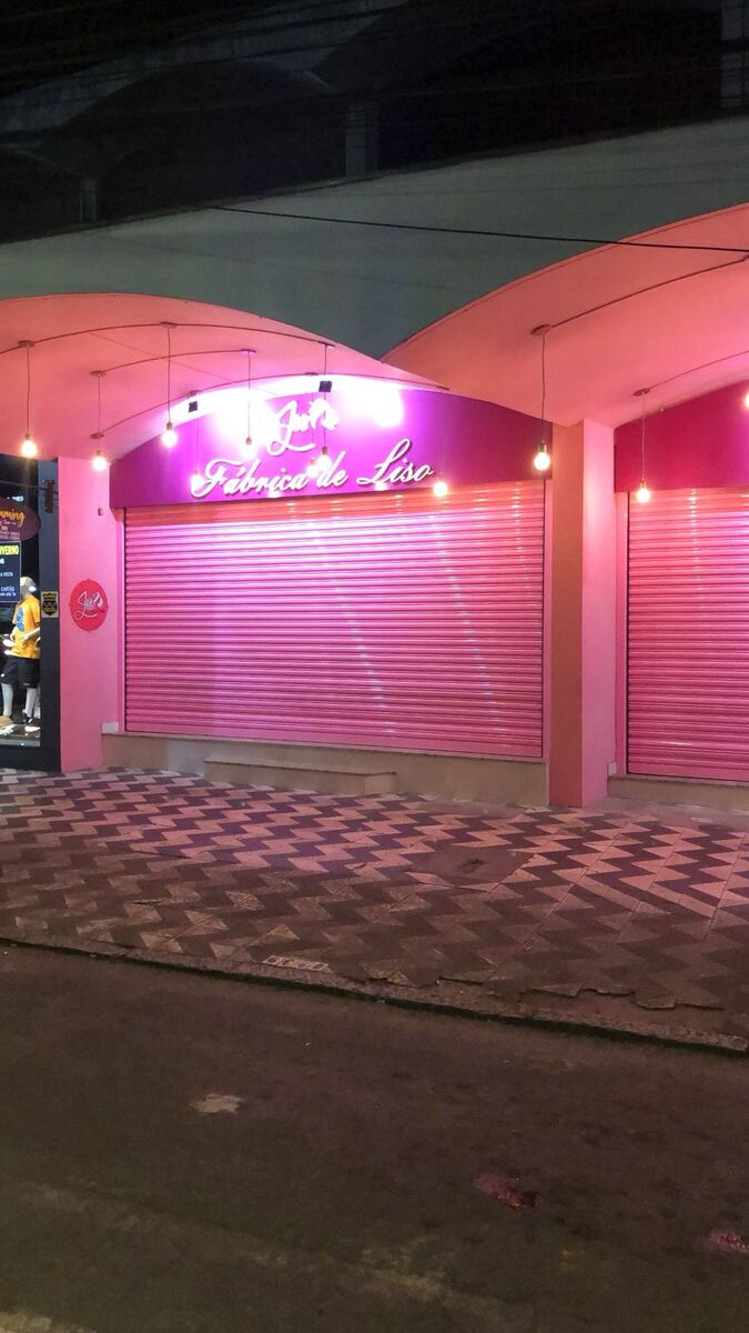 Porta de enrolar comercial rosa Fábrica de Liso